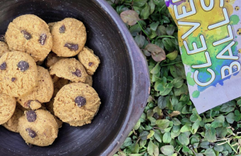 Exalumna de Diseño UDD crea galletas saludables y amigables con el medio ambiente